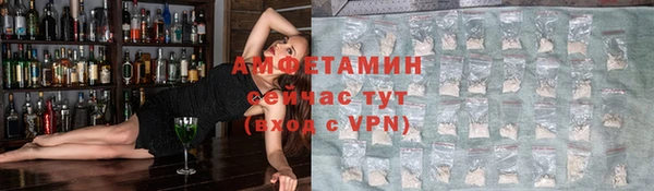 твердый Богданович