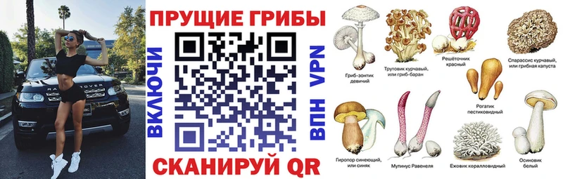 Галлюциногенные грибы Cubensis  Фурманов 